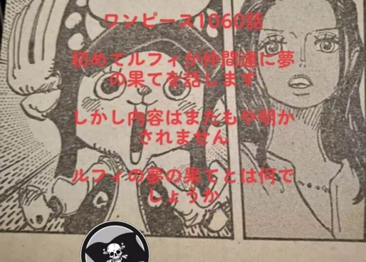 One Piece 1060 Spoilers Vf Reddit Scan Raw France